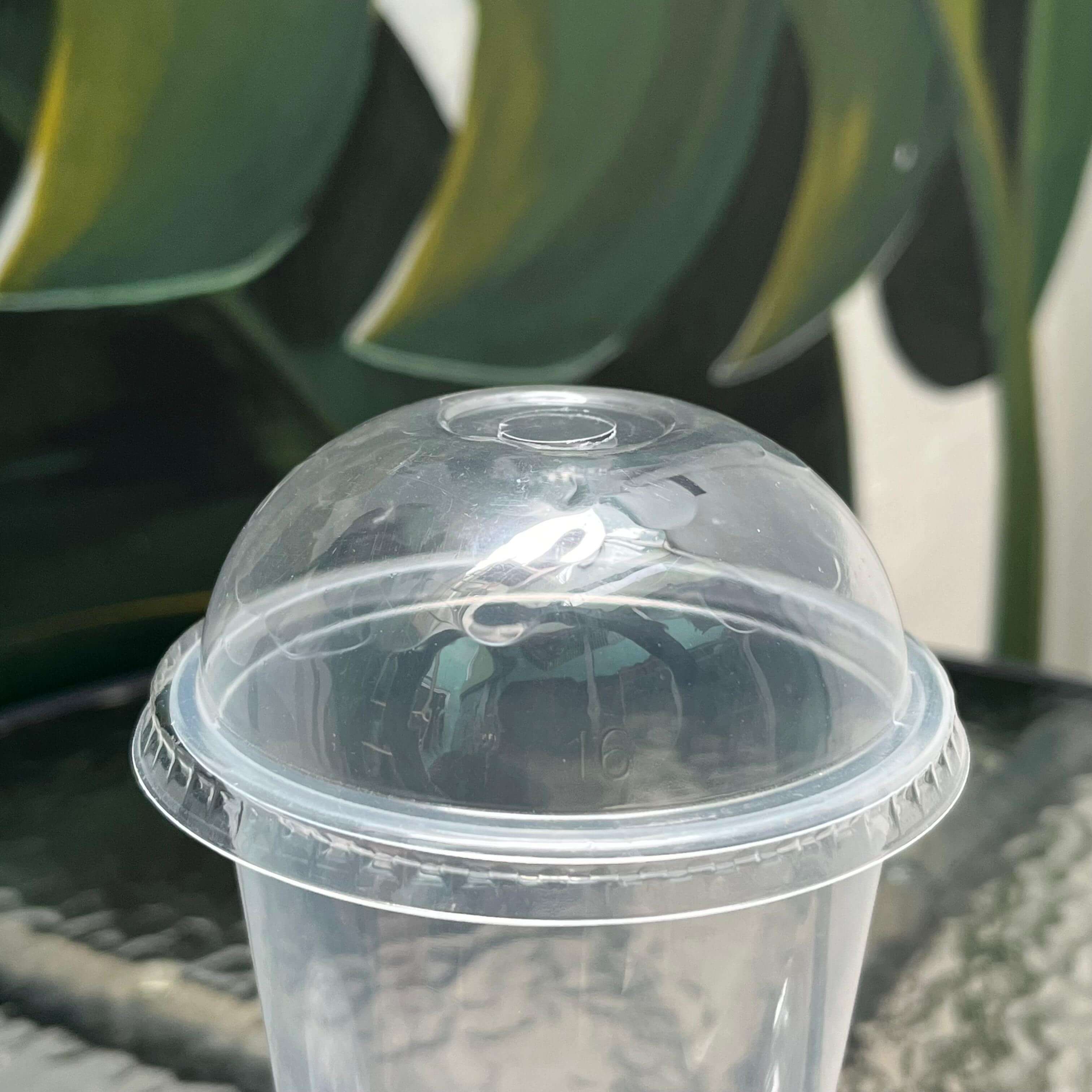 lid dome mini