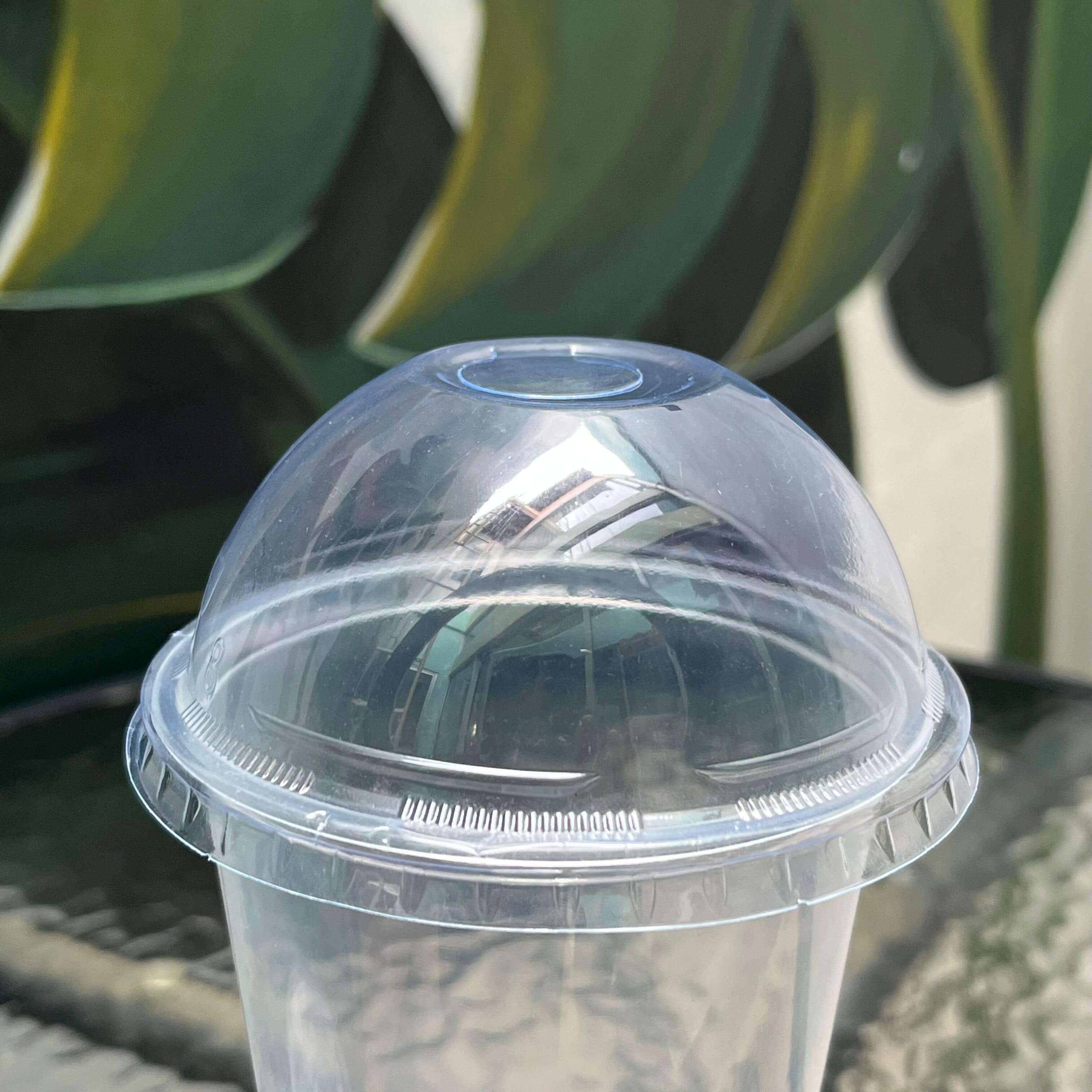 lid dome