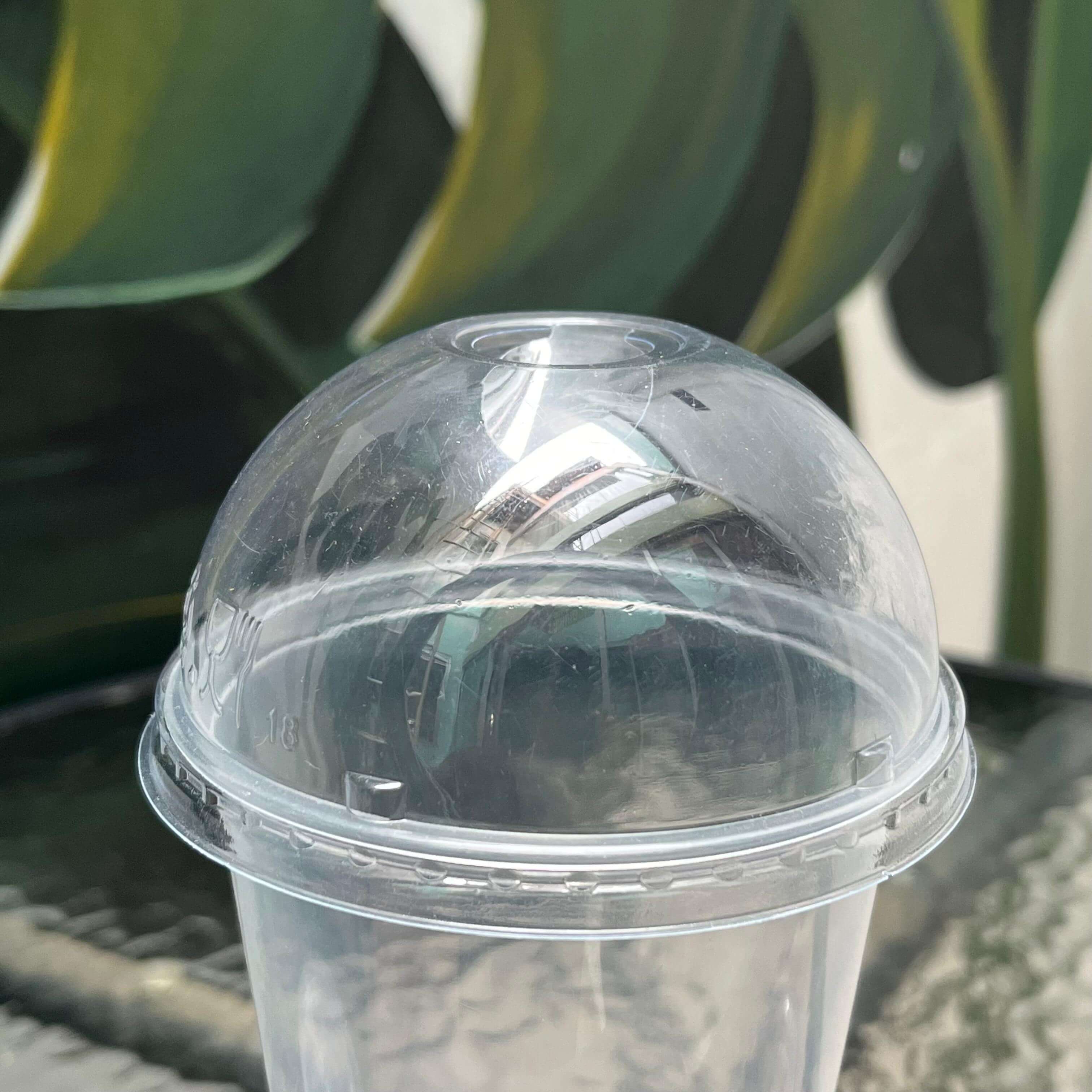 lid pet